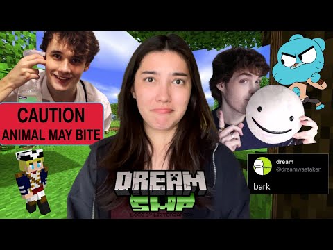 Dsmp Controversy