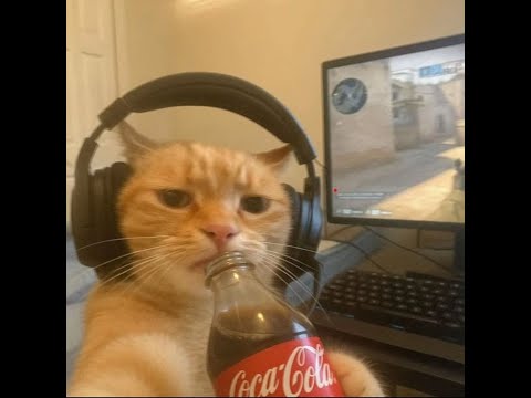 Rank 1 PvP NA 94%+ WR | New DROPS! | No Tilt Today..... |  !FAQ