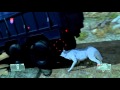 Metal Gear Solid V Phantom Pain Eliminate Wandering Puppets 08 2015 10 01 14 25 36