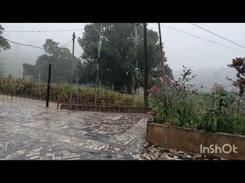 02 03 2026 FORTES CHUVA ZONA RURAL DE MUTUIPE RIACHO DA CRUZ 