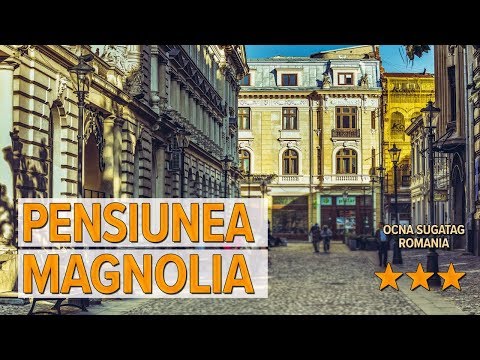 Pensiunea Magnolia hotel review | Hotels in Ocna Sugatag | Romanian Hotels