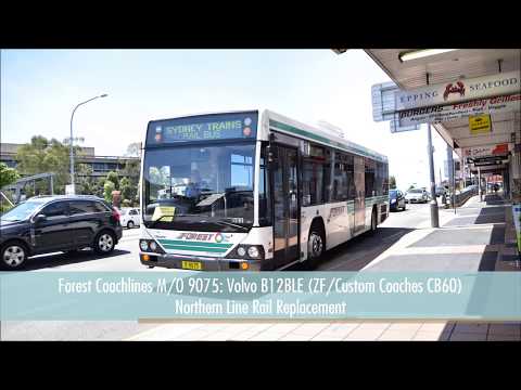 Forest Coachlines M/O 9075: Volvo B12BLE (ZF/Custom Coaches CB60)
