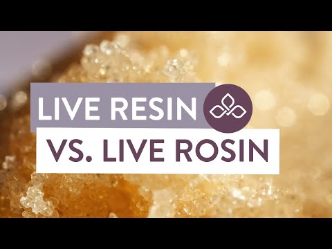 Cannabis Concentrates Explained: Live Resin vs. Live Rosin | Central Ave Compassionate Care