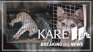 Rescue crews remove 56 animals from Morrison Co. mobile home