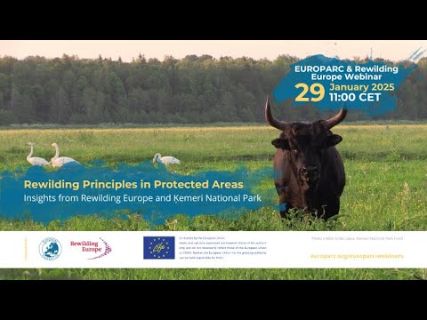 EUROPARC Webinar: Rewilding Principles in Protected Areas