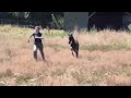 Top poulain noir de dressage