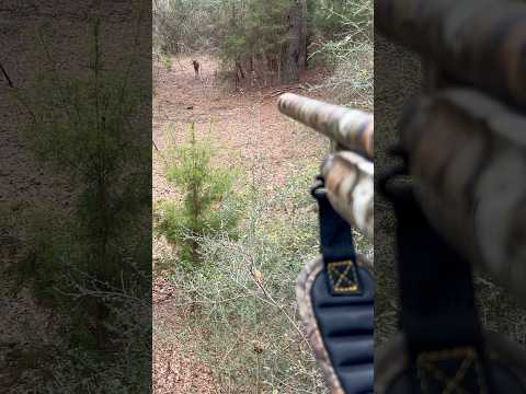 Go check out the video when I got my first buck🦌 #deerhunting #buck #outdoors #wildlife #first #diy