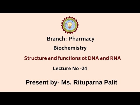 Structure and functions of DNA and RNA