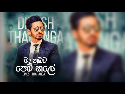@DineshTharanga | Maa Nubata Pemkale | මා නුඹට පෙම් කලේ (Official Lyrics Video)