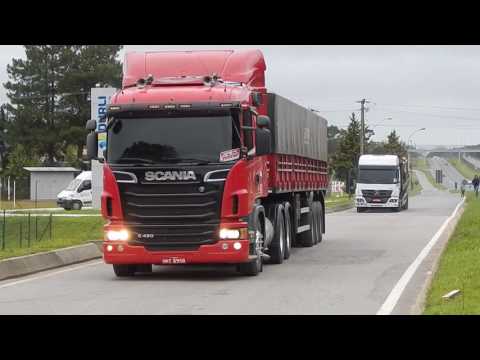 Pinguim e Diona Saindo Do Consul Na Moralzinha