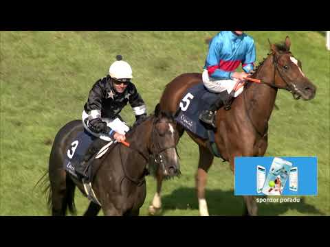 Dostihy Chuchle Arena Praha 24. 9. 2022 - 3. dostih - 86. Arqana Gerschův memoriál