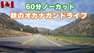 たっぷり1時間カナダを運転! 絶景秋のオカナガンの最高なドライブルート