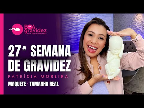 27 SEMANAS DE GRAVIDEZ (Atualizado) Série A Formação Humana | Maquete tamanho real