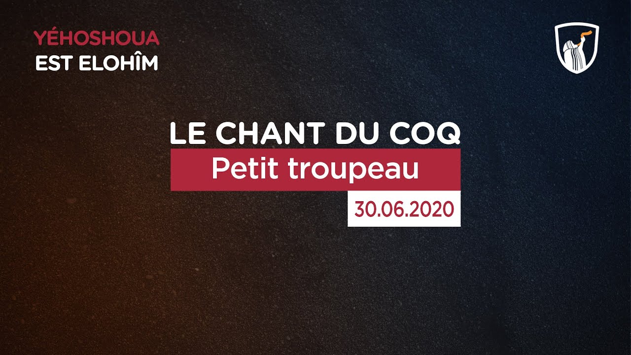 Thumbnail of video: Petit troupeau