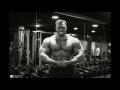 Fitness & Bodybuilding Motivation by Michael Blum (BioTechUSA Athlet)