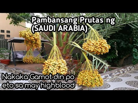 PAMBANSANG PRUTAS NG MIDDLE EAST | DATES (Tamar) in ARABIC