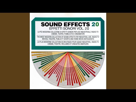 National Anthem / Czech Republic: Kde domov muj