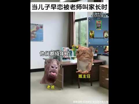 当儿子早恋被老师叫家长时 #猫meme #猫meme小剧场 #搞笑