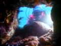 Deep Sea Dive Water