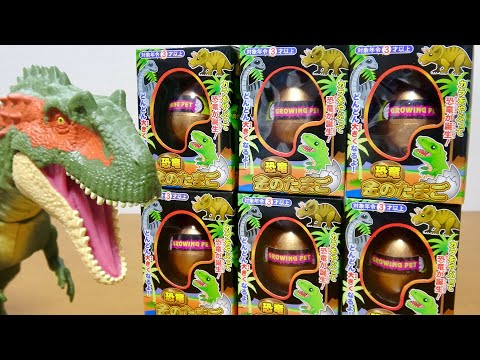 卵の殻から恐竜の体温がわかる