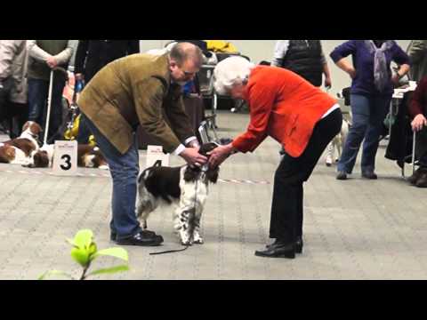 2015 03 07 Ilse vom Belauer See