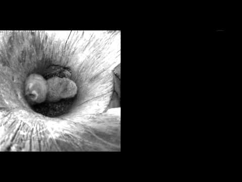 28-04-2015 01h16 Livraison