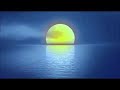 Paul Mauriat Franck Pourcel Billy Vaughn Nini Rosso 2