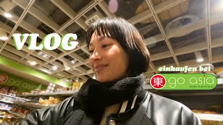 GO ASIA VLOG (Einkaufen im asiatischen Supermarkt) 🥡🥢
