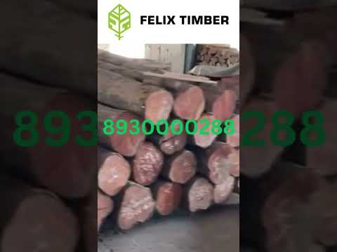 Indian teak wood