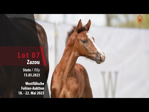 Online Auktion Lot 07 Stute v. Zirocco Blue - Cornet Obolensky