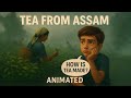 A TEA FROM ASSAM CLASS 10 ENGLISH ANIMATED CLASS 10 ENGLISH
