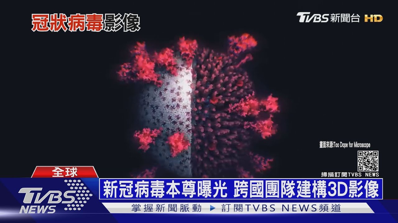 新冠病毒本尊曝光 跨國團隊建構3D影像