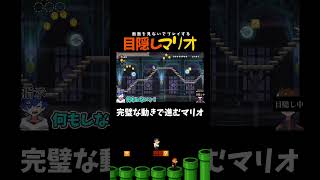 【目隠しマリオ￤奇跡！！】画面見てないのに完璧すぎるｗｗｗ