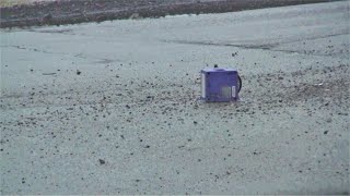 That Time I Found a Gamecube in the Road