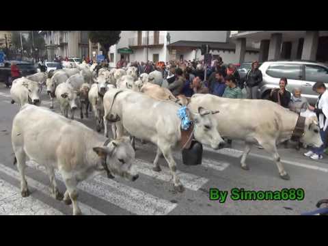 Transumanza Mandrie a Demonte, Fiera San Luca