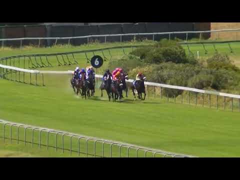 2022.01.29 Politician Stakes (RSA) - Universal