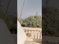 Sanchita Basu New Tiktok Status Sanchita Basu Sanchita Basu Sanchita Shorts