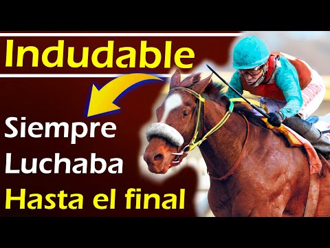 INDUDABLE 👉 7 VICTORIAS SORPRESAS - Doble coronado, Ganó el Confraternidad del Caribe de 1985 y mas