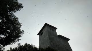 Download lagu Uji coba Suara Panggil Bhayangkara FC hari pertama mp3