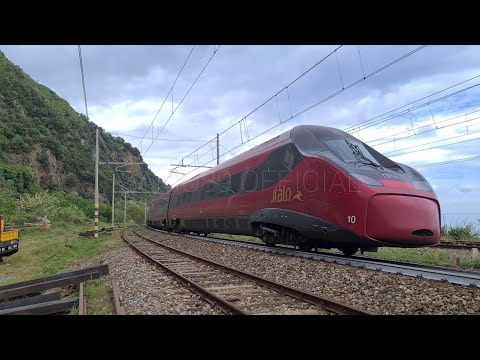 ES* Italo AV 8193 Roma Termini - Reggio Calabria C.le