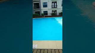 Sunday at the pool with Chet and Mark on guitar 🎸