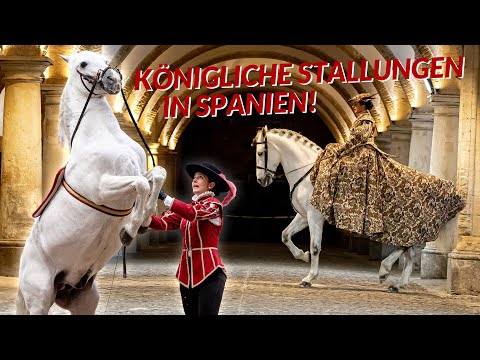 Seltene Einblicke 🤩 Pferdemagie aus Spanien ✨ Zu Gast in den königlichen Stallungen von Córdoba 🇪🇸
