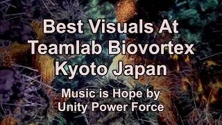 Best Digital Art Visuals At TEAMLAB BIOVORTEX Kyoto Japan - Music Set To Hope By