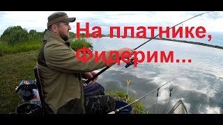 Рыбалка в овечкино подольский район платный пруд