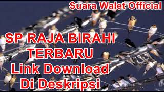 Download lagu SP Raja Birahi Terbaru - Link Download Di Deskripsi mp3
