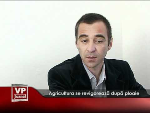 Agricultura se revigorează după ploaie