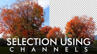 Select Trees using Channels in Adobe Photoshop - Urdu / Hindi