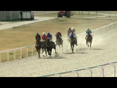 2022.08.07. 03. futam -  NYERETLENEK VERSENYE (V.kat.) (szintetikus pálya)