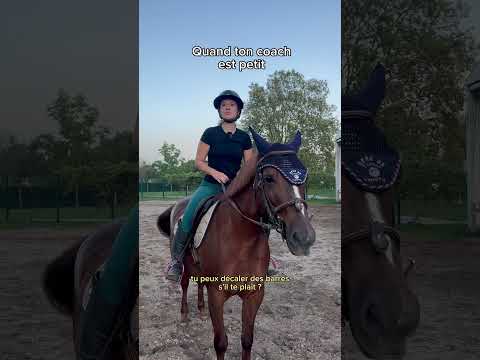 And suddenly 95cm becomes 130cm 😂🫣 #betweenherears #humor #horse #riding #jumping #shorts