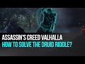 Assassin's Creed Valhalla - How to solve the druid riddle?